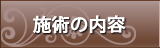 施術の内容